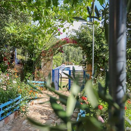Holiwood Motel Himare Exterior foto