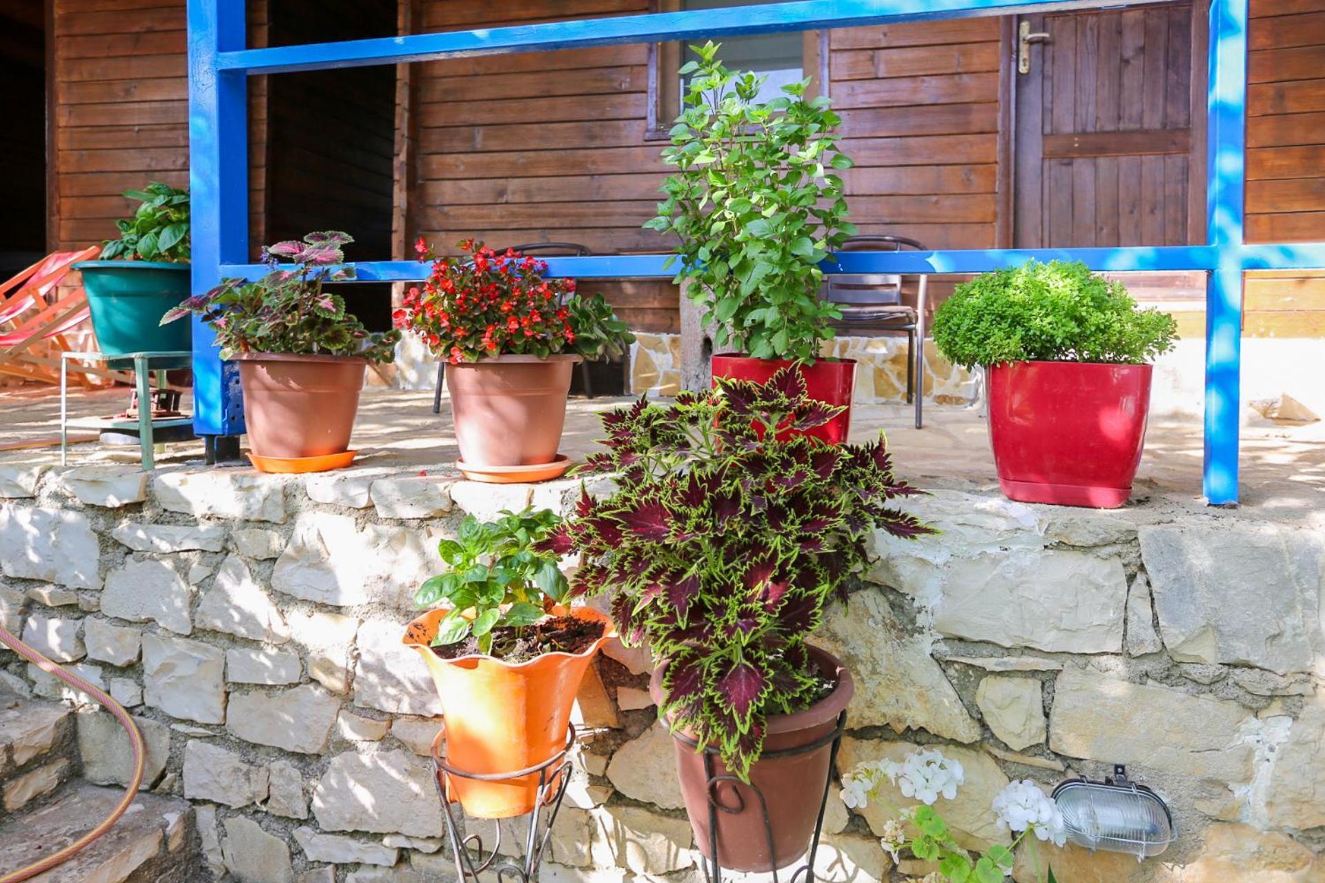 Holiwood Motel Himare Exterior foto