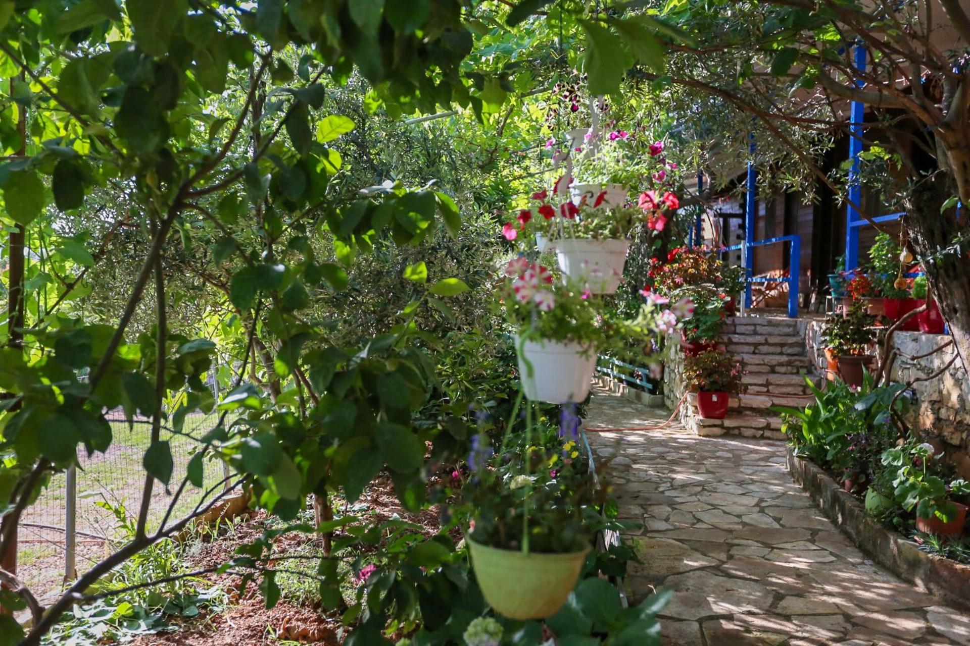 Holiwood Motel Himare Exterior foto