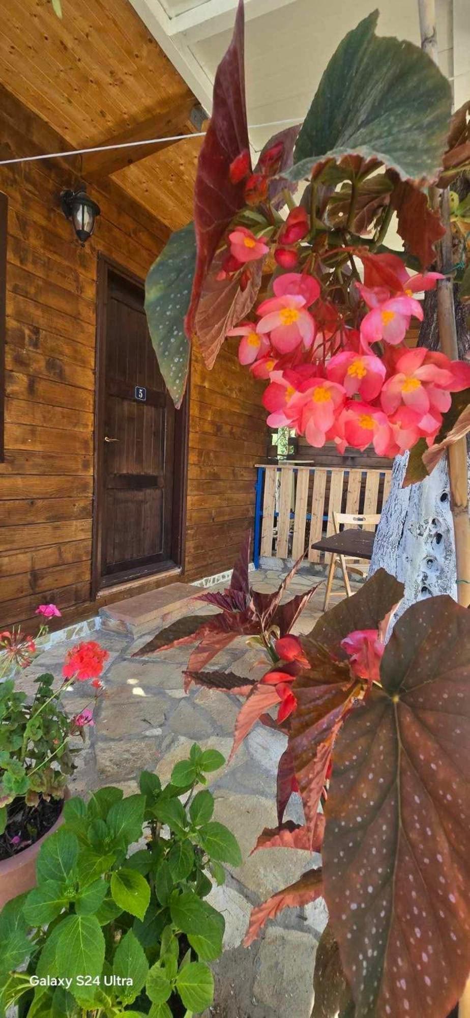 Holiwood Motel Himare Exterior foto